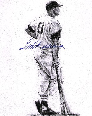 Ted Williams - Illustration Signed