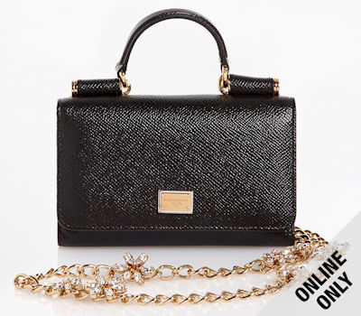 dolce gabbana von bag