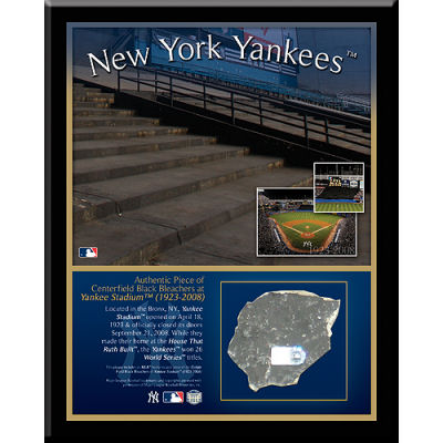 New York Yankees NY Old Yankee Stadium Baseball Field 8x10 to