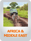 Africa & Middle East